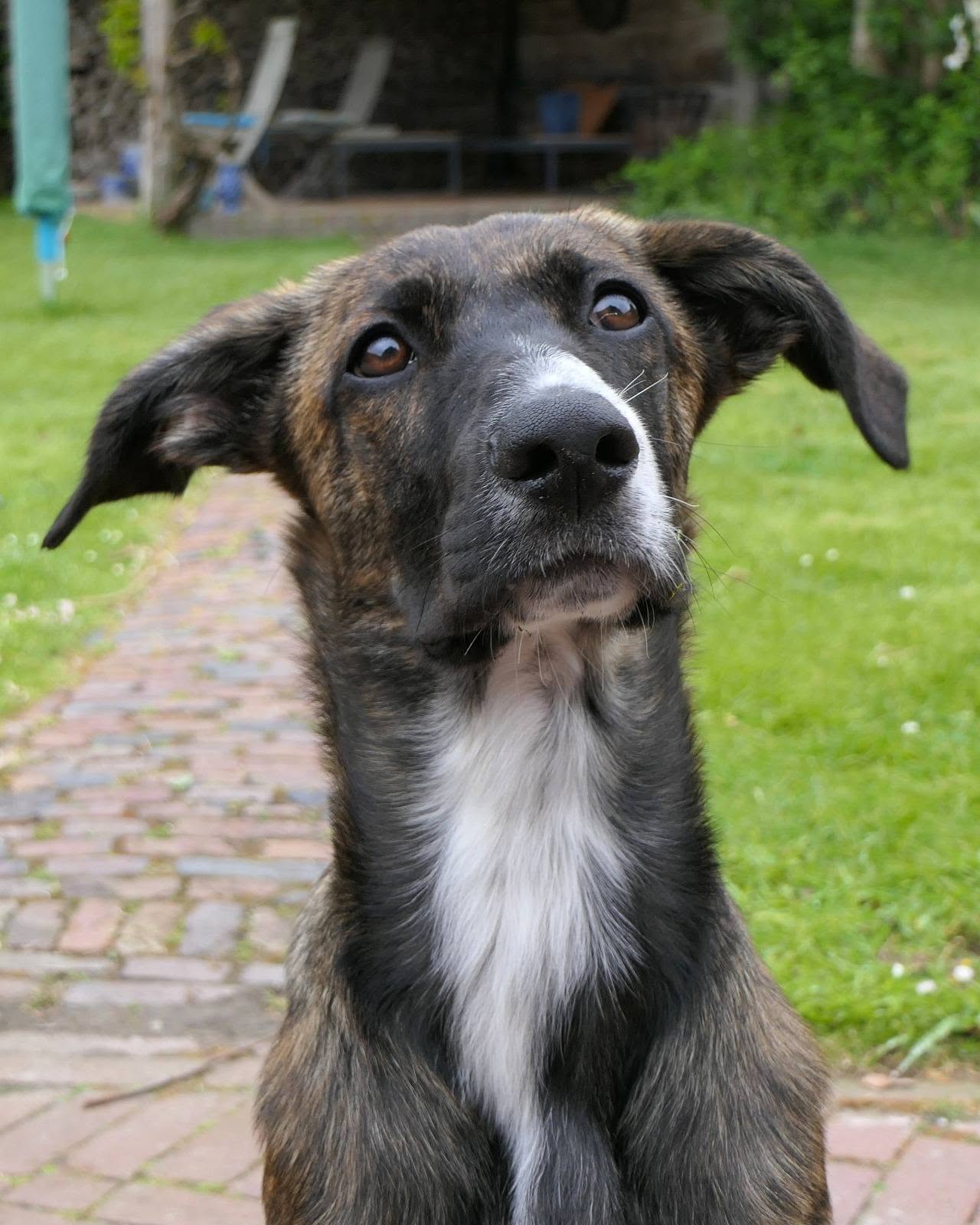 Portret uit onze opvang