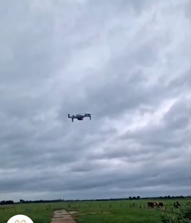 Een triest verhaal met een mooie afloop: Chloë’s avontuur✴️