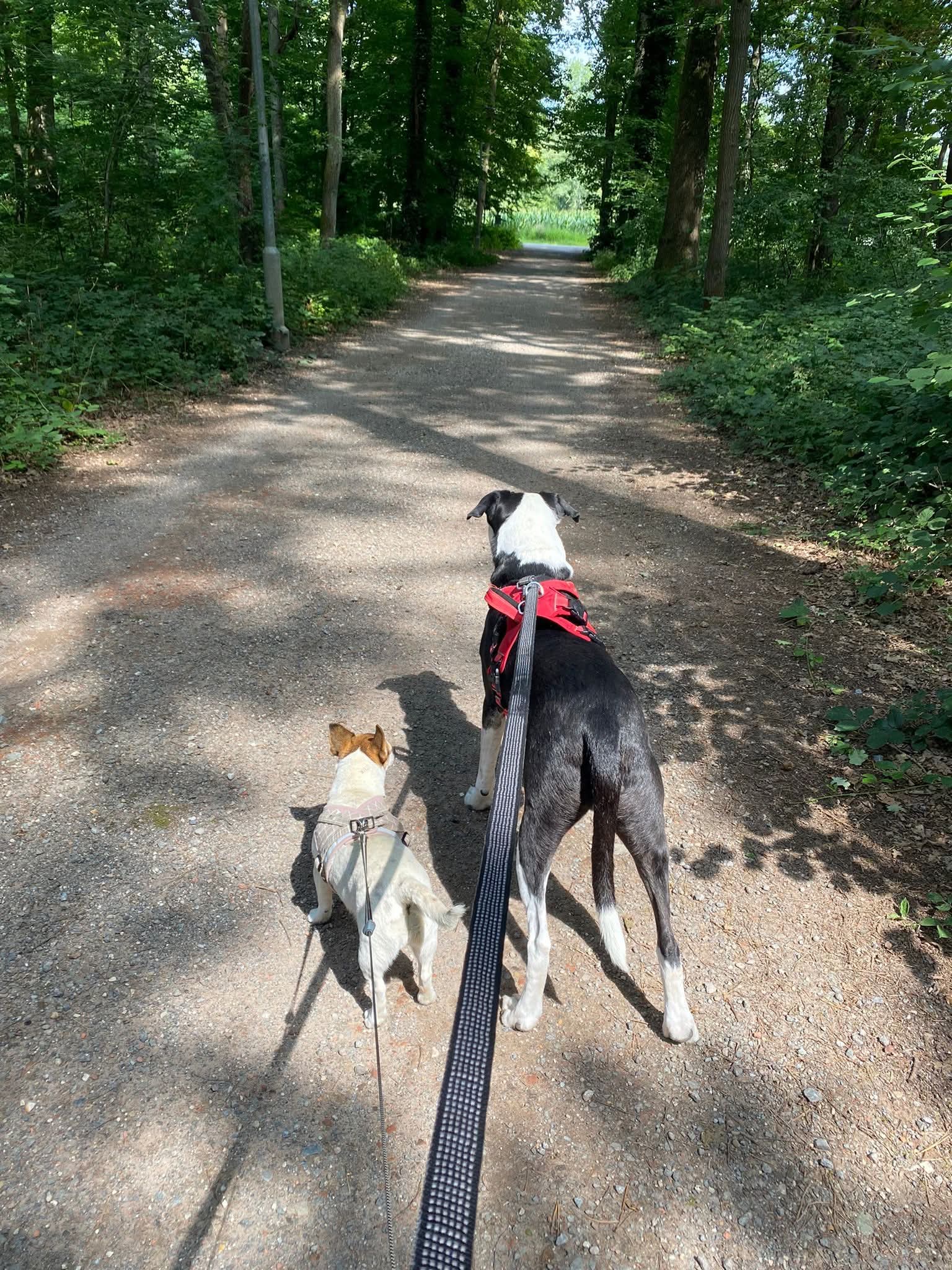 Van wanhoop naar hoop en liefde ❣️ 