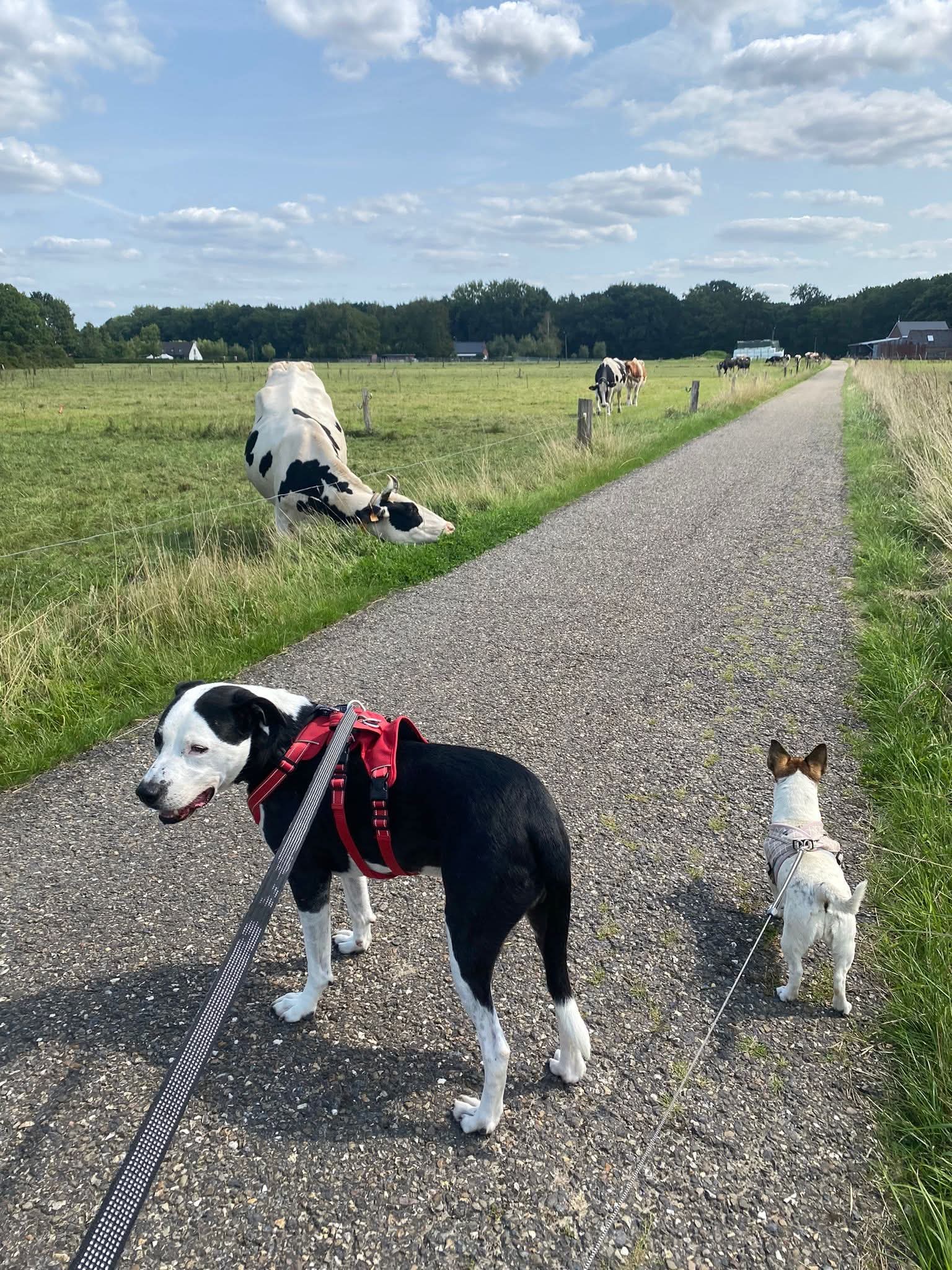 Van wanhoop naar hoop en liefde ❣️ 