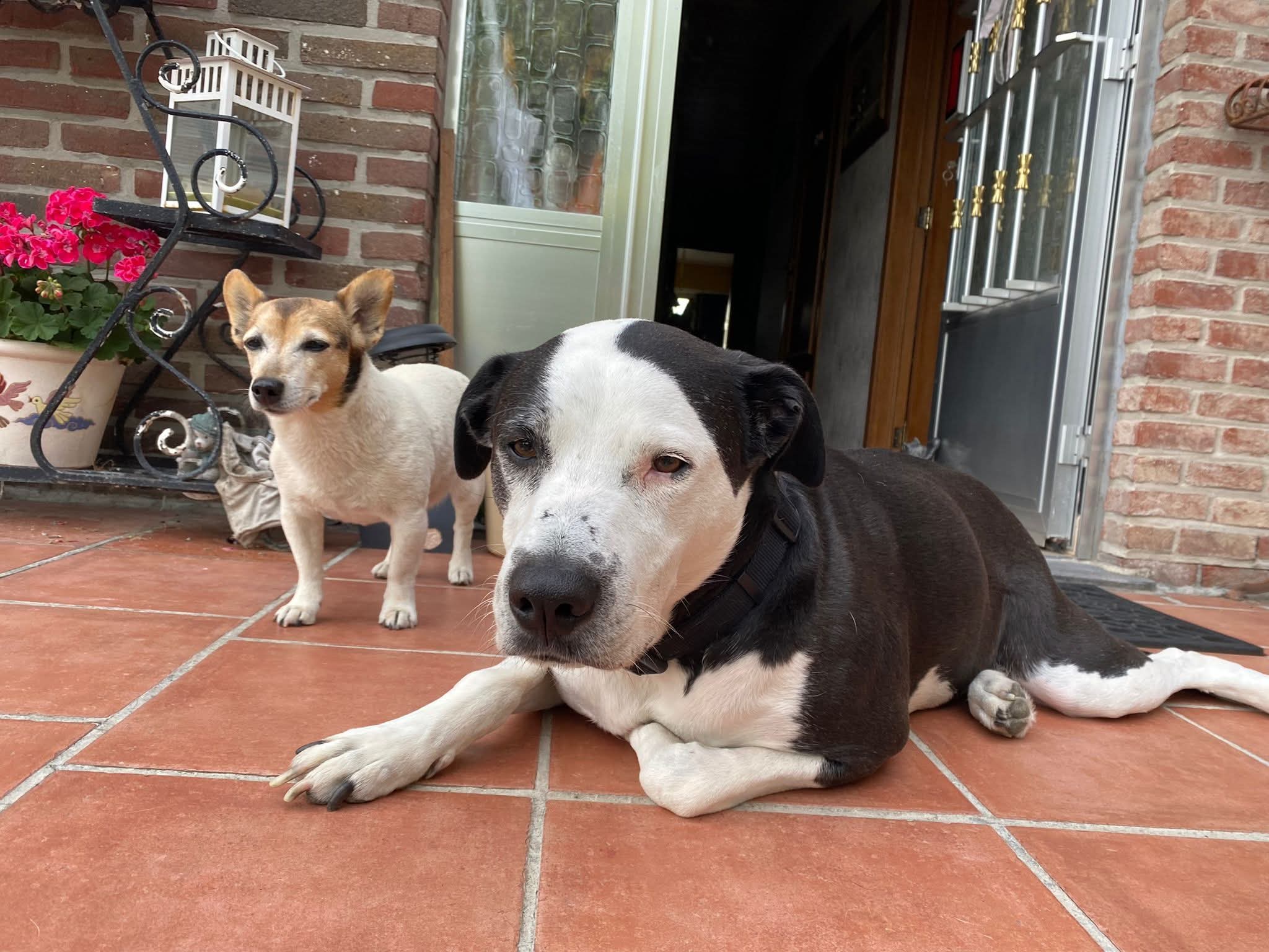 Van wanhoop naar hoop en liefde ❣️ 
