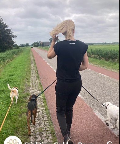 Een triest verhaal met een mooie afloop: Chloë’s avontuur✴️