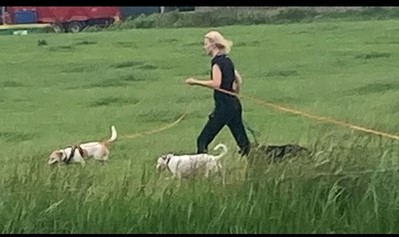 Een triest verhaal met een mooie afloop: Chloë’s avontuur✴️