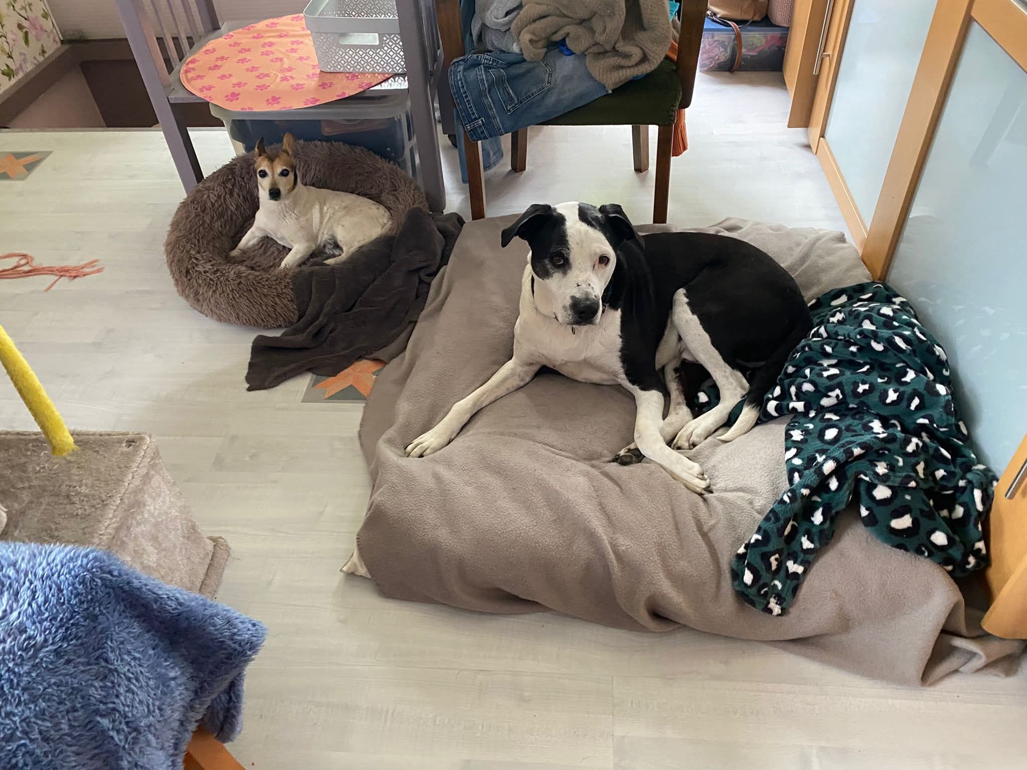 Van wanhoop naar hoop en liefde ❣️ 